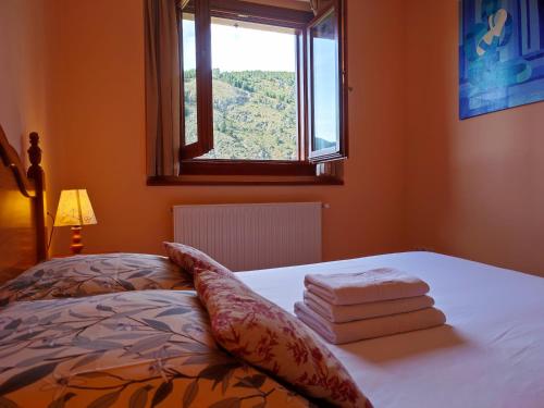 索尔德乌AC Apartaments Pleta Soldeu的一间卧室配有一张带窗户的床和一些毛巾