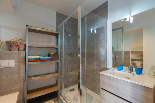 圣若里奥Grand studio bord du lac的带淋浴、盥洗盆和镜子的浴室