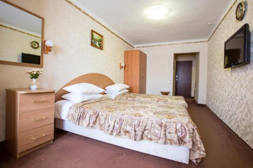 切尔诺夫策布科维纳酒店的一间卧室配有一张床、梳妆台和电视。