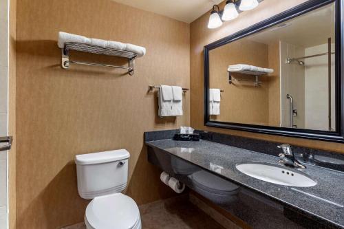 Sturgeon Falls鲟鱼瀑布康福特茵酒店的一间带卫生间、水槽和镜子的浴室