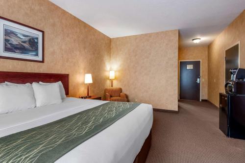 Sturgeon Falls鲟鱼瀑布康福特茵酒店的酒店客房设有一张大床和一台电视。