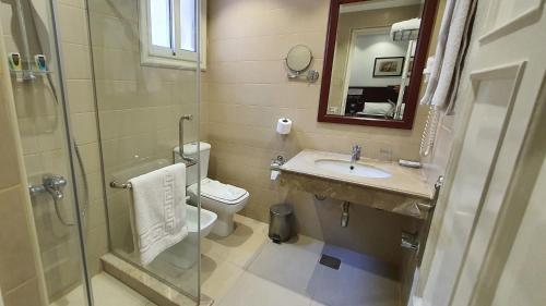 开罗扎马雷克荷露斯酒店的浴室配有卫生间、盥洗盆和淋浴。