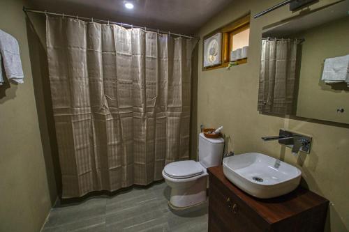 洪达尔Chalet Seabuckthorn - Hunder的浴室配有卫生间、盥洗盆和淋浴。