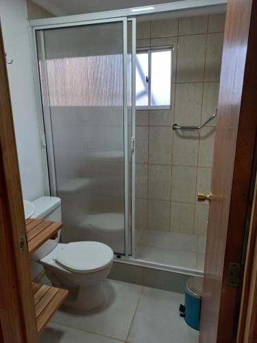 纳塔列斯港Cabañas Frange的一间带卫生间和玻璃淋浴间的浴室