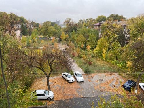 塔什干4-room apartment in the center of Tashkent的停在停车场的一群汽车