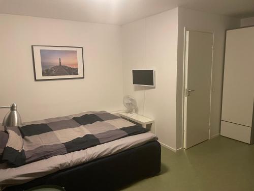 萨拉Hotell Silverborgen的卧室配有一张床,墙上挂着一幅画