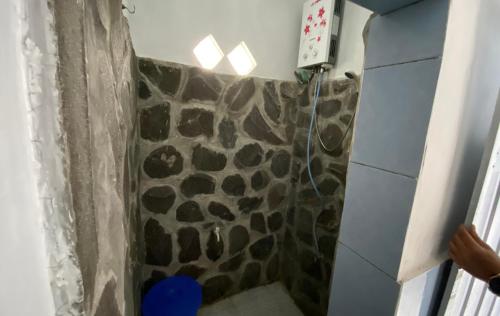 MendutPondok kali oedal的浴室设有假长颈鹿墙淋浴