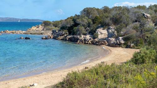 帕劳Residence con piscina a Palau, a soli 150 mt. dal mare的水中一群动物的海滩