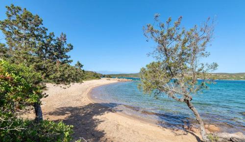 帕劳Residence con piscina a Palau, a soli 150 mt. dal mare的海边的沙滩上种有树木