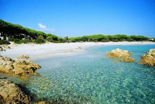 卡拉·利贝罗托Residence con piscina a Sos Alinos的海滩上有人,海水中有岩石