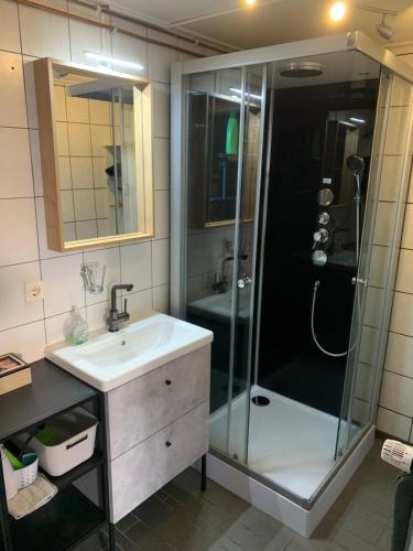 亨厄洛Het Vosje的带淋浴和盥洗盆的浴室
