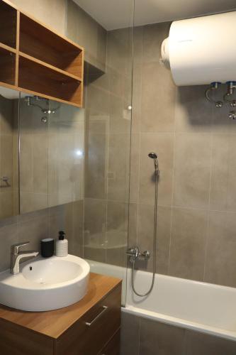 普图伊Studio apartma Terme Ptuj的一间带水槽和淋浴的浴室