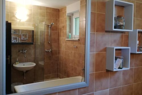 马里博尔Holiday Home Vesenjak的带淋浴和盥洗盆的浴室