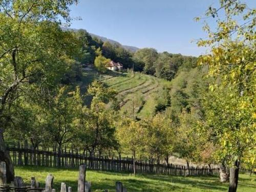 弗尔尼亚奇卡矿泉镇Kuća za odmor Vilin vrt Vrnjacka Banja Otroci的山丘上带围栏和树木的田野和房屋