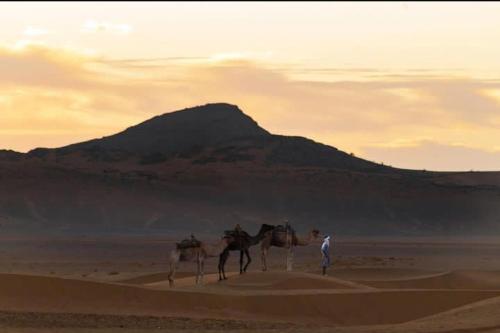 扎古拉Bivouac ZAGORA的一个人在沙漠中骑着两只骆驼