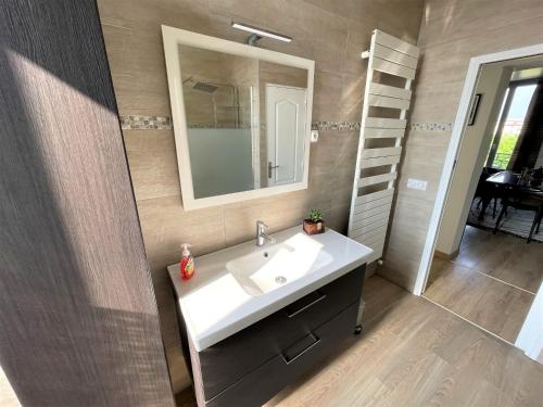 兰斯Le Neufchâtel appartement cosy 3 chambres的一间带水槽和镜子的浴室