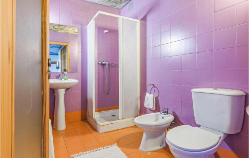 弗雷舒德埃什帕达阿辛塔Cozy Apartment In Freixo De Espada C With Outdoor Swimming Pool的紫色浴室设有卫生间和水槽