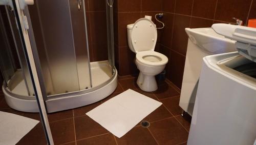 RaduilВила Ибър в Комплекс Къщетата的浴室配有卫生间、淋浴和盥洗盆。