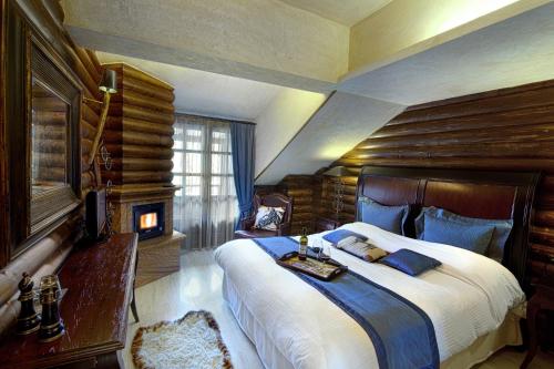 美特索文AROMA DRYOS SPA & ECO Hotel的一间卧室设有一张大床和一个壁炉