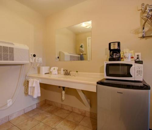 奥甘奎特Wells-Ogunquit Resort Motel & Cottages的一间带水槽和台面微波炉的浴室