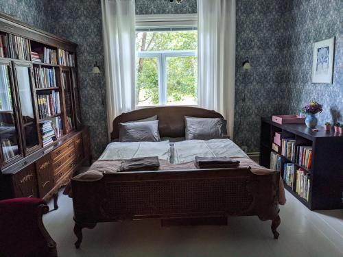 Narvan Maatilamajoitus Helenan Kanat ja Kammarit的一间卧室配有一张带窗户和书架的床