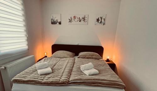 科布伦茨Zentrale beautiful Apartment in Koblenz的卧室内的一张床位,配有两个枕头