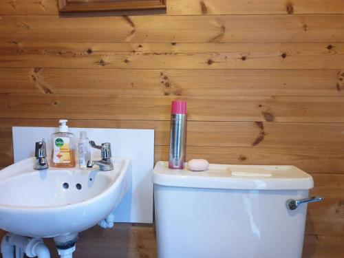 因弗内斯Cara Noir的浴室配有白色卫生间和盥洗盆。