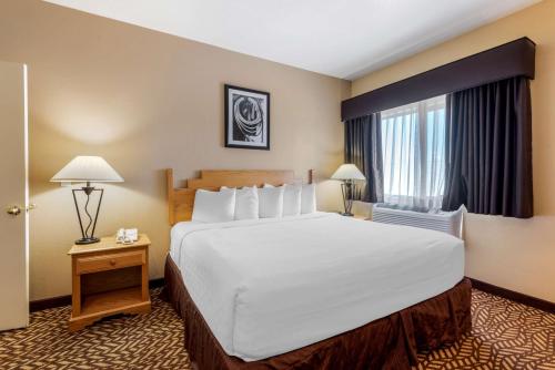 科尔特斯绿松石贝斯特韦斯特酒店及套房的一间设有大床和窗户的酒店客房