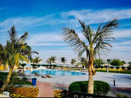 拉斯阿尔卡麦Rixos Beach Apartment的享有棕榈树游泳池的景色