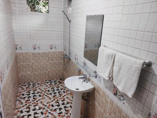 宁平Ninh Binh Bungalow Homestay的一间带水槽和镜子的浴室