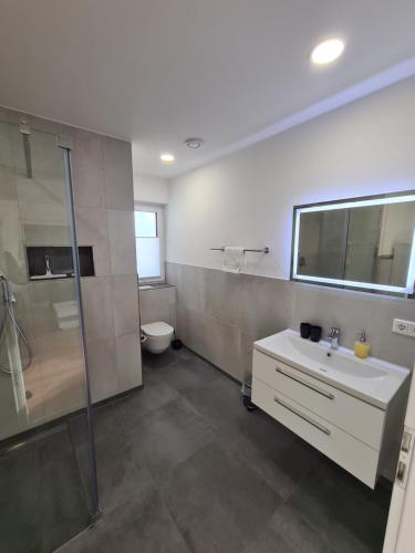 福森Panorama Penthouse的一间带水槽、淋浴和卫生间的浴室