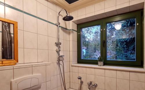 库洛特拉森Art-House Kurort Rathen的带淋浴的浴室,带窗户