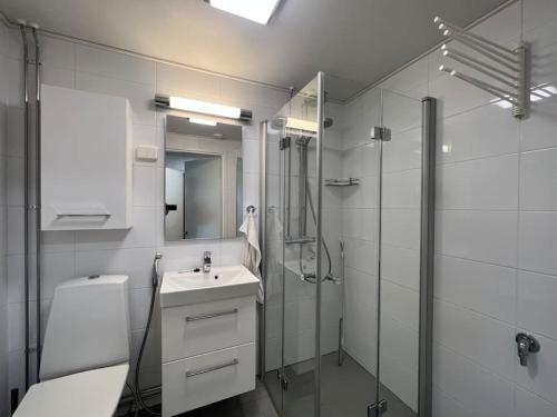 拉彭兰塔Studiohuoneisto Liisankatu的浴室配有卫生间、盥洗盆和淋浴。