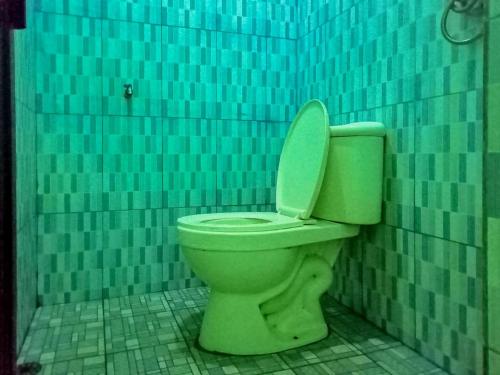 PalopoWisma Benteng Indah Palopo的蓝色瓷砖浴室内的绿色厕所