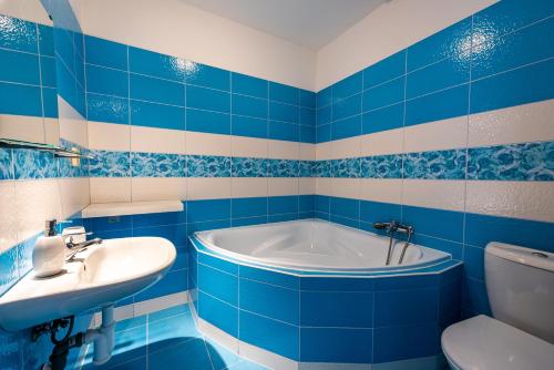 苏希采Apartmán Hartmanice的蓝色和白色的浴室设有浴缸和水槽