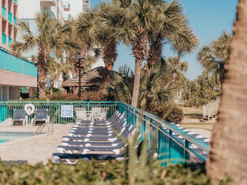 默特尔比奇南海滩沙塔海滨度假村的一组躺椅和棕榈树,毗邻一个游泳池