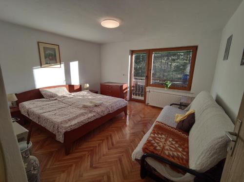 泽高杰耶泽尔斯科Hiša Jezersko的一间卧室配有两张床和一张沙发。