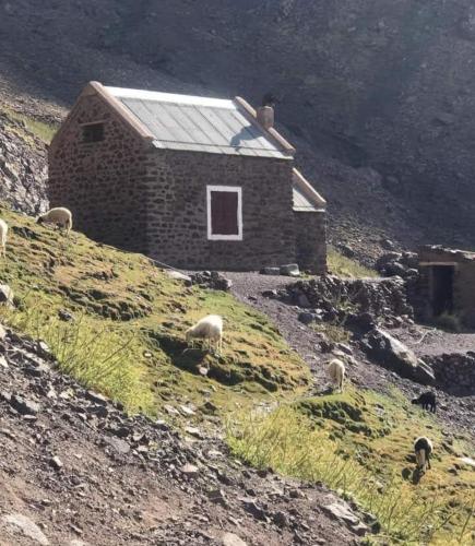 艾斯尼Trekking Toubkal Sahara Abderahim 2018的一群羊在山丘上一座建筑物前放牧
