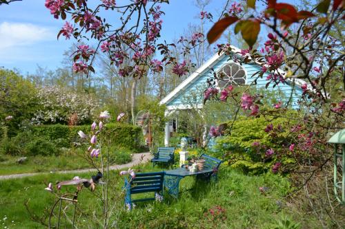 彼得比伦Wonderland的花园里的蓝色长椅,花朵粉红色
