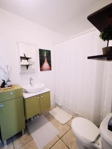 蒙特利尔Plush 2 bedroom unit 5min Downtown Off Wellington的浴室配有白色卫生间和盥洗盆。