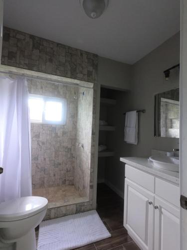 罗阿坦Single-Family Home With Gated Tropical Yard的带淋浴、卫生间和盥洗盆的浴室