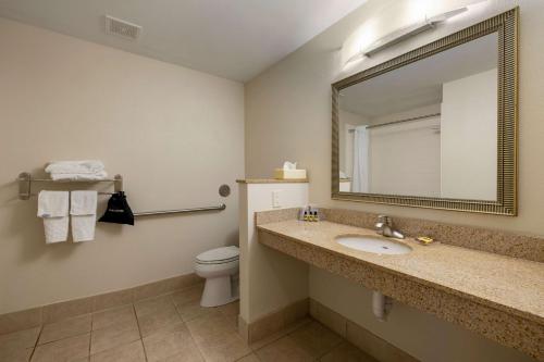 卡特湖倍斯特维斯特奥马哈机场酒店的一间带水槽、卫生间和镜子的浴室