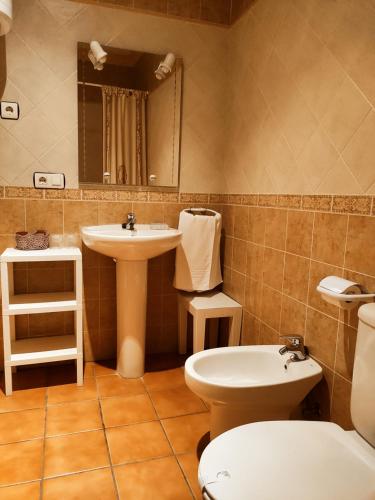 洛萨尔德拉韦拉La Garzona的一间带水槽、卫生间和镜子的浴室