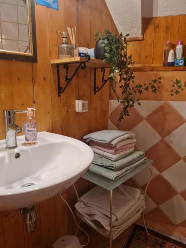 RisovacVikendica Pahuljica的浴室设有水槽和带毛巾的架子。