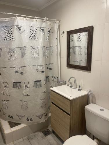 埃尔卡拉法特Patagonia Hope Suites的浴室配有淋浴帘、卫生间和盥洗盆。
