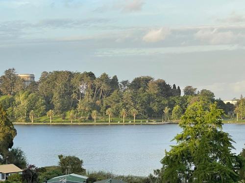 汉密尔顿Luxury at the Lake的享有棕榈树和房屋的湖泊美景。