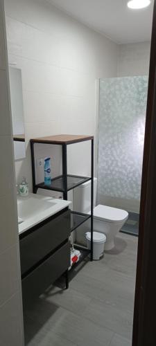 巴利亚多利德La Espiga的一间带水槽和卫生间的浴室