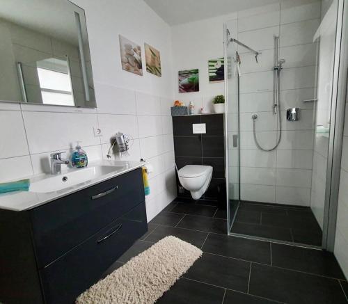 诺德霍恩Lemke-Ferienwohnung的带淋浴、盥洗盆和卫生间的浴室