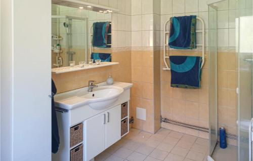 特鲁萨4 Bedroom Nice Home In Trosa的一间带水槽和淋浴的浴室