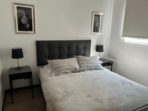 圣地亚哥Espectacular depto Moderno 22的一间卧室配有一张带2个床头柜的大床